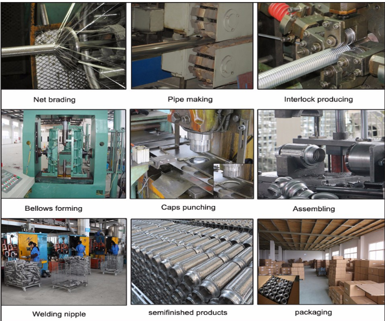 New product of Manifold bellows wxhy exhaust